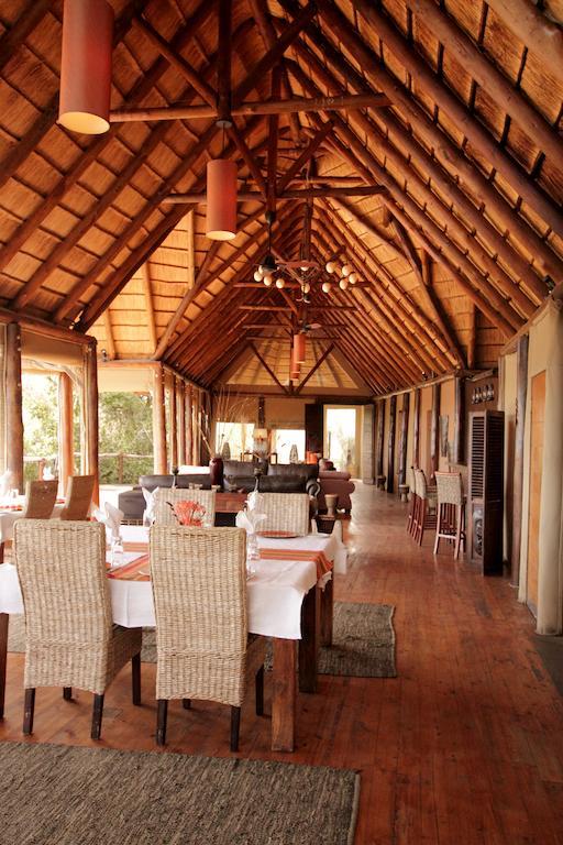 Bush Lodge - Amakhala Game Reserve Εξωτερικό φωτογραφία